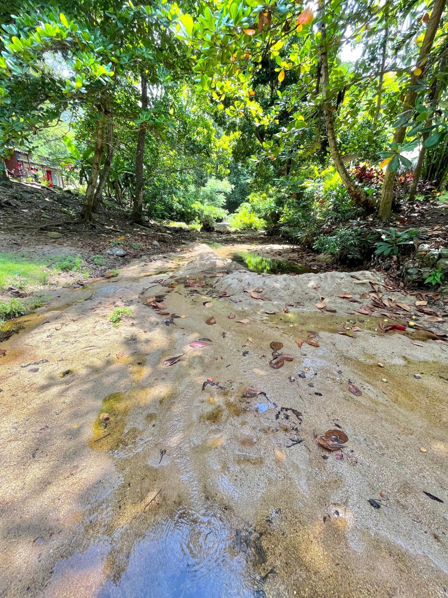Santuario Tayrona Hostel Calabazo  外观 照片
