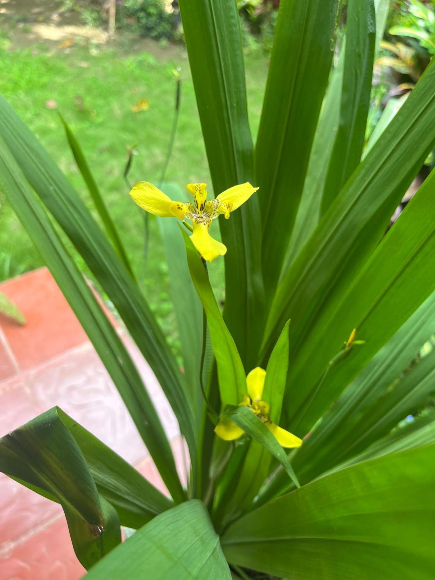 Santuario Tayrona Hostel Calabazo  外观 照片