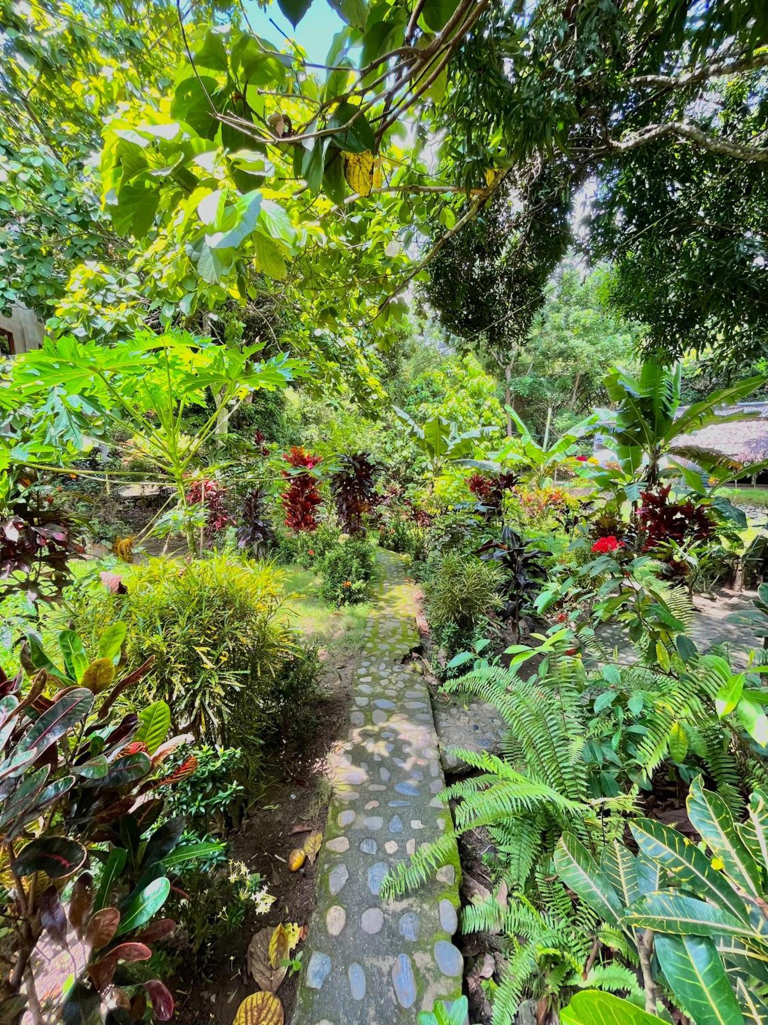 Santuario Tayrona Hostel Calabazo  外观 照片