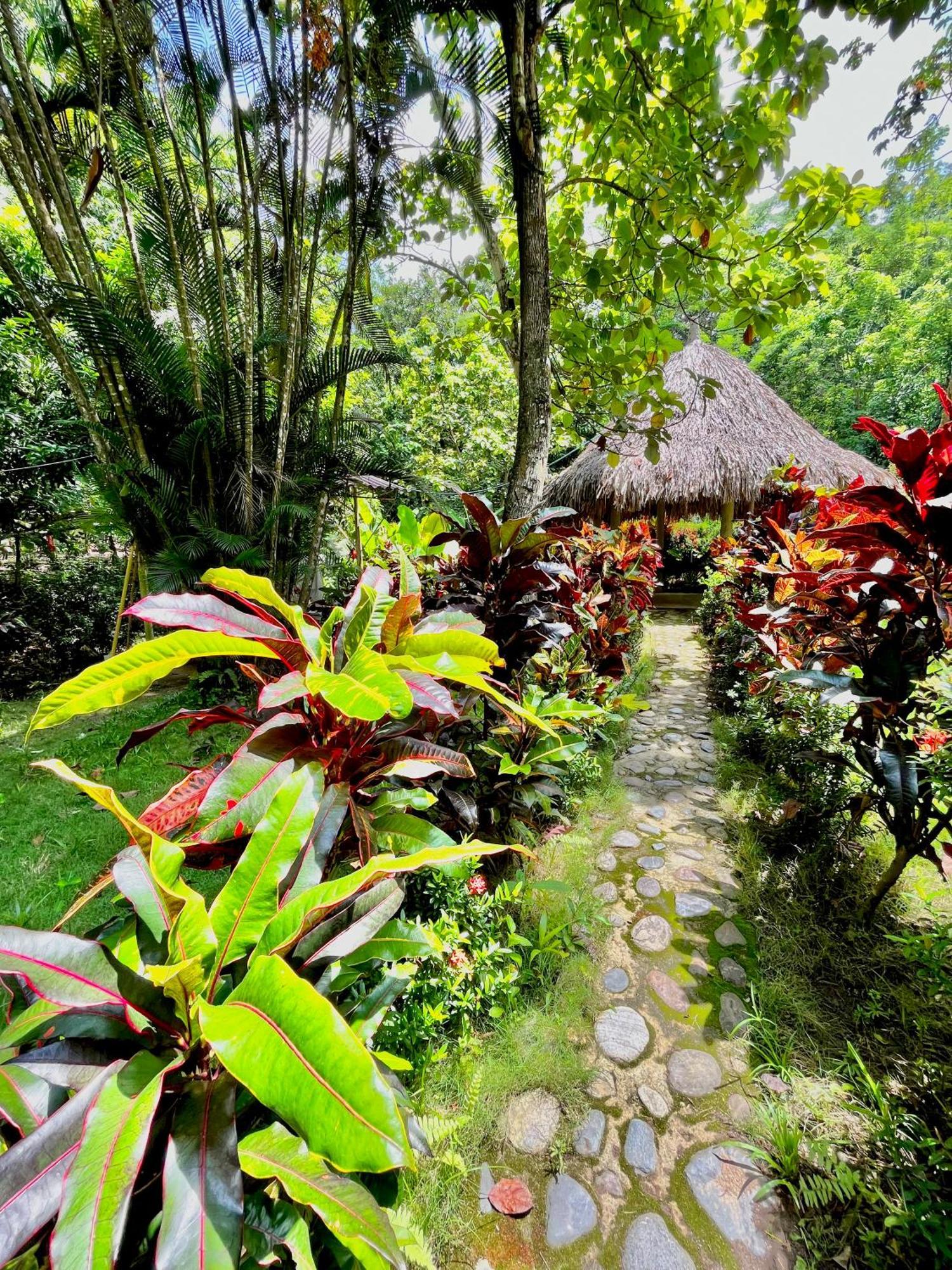 Santuario Tayrona Hostel Calabazo  外观 照片