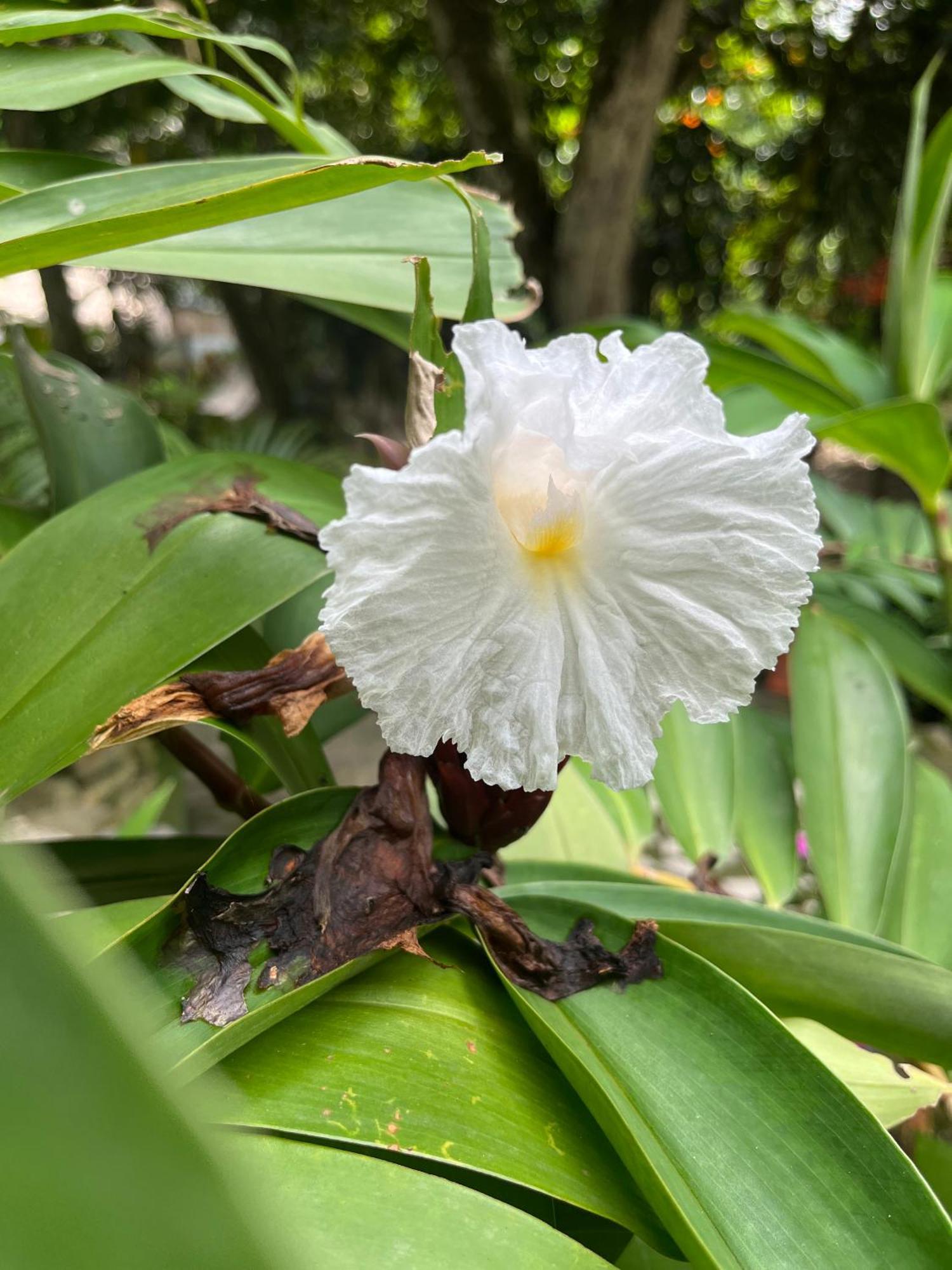 Santuario Tayrona Hostel Calabazo  外观 照片